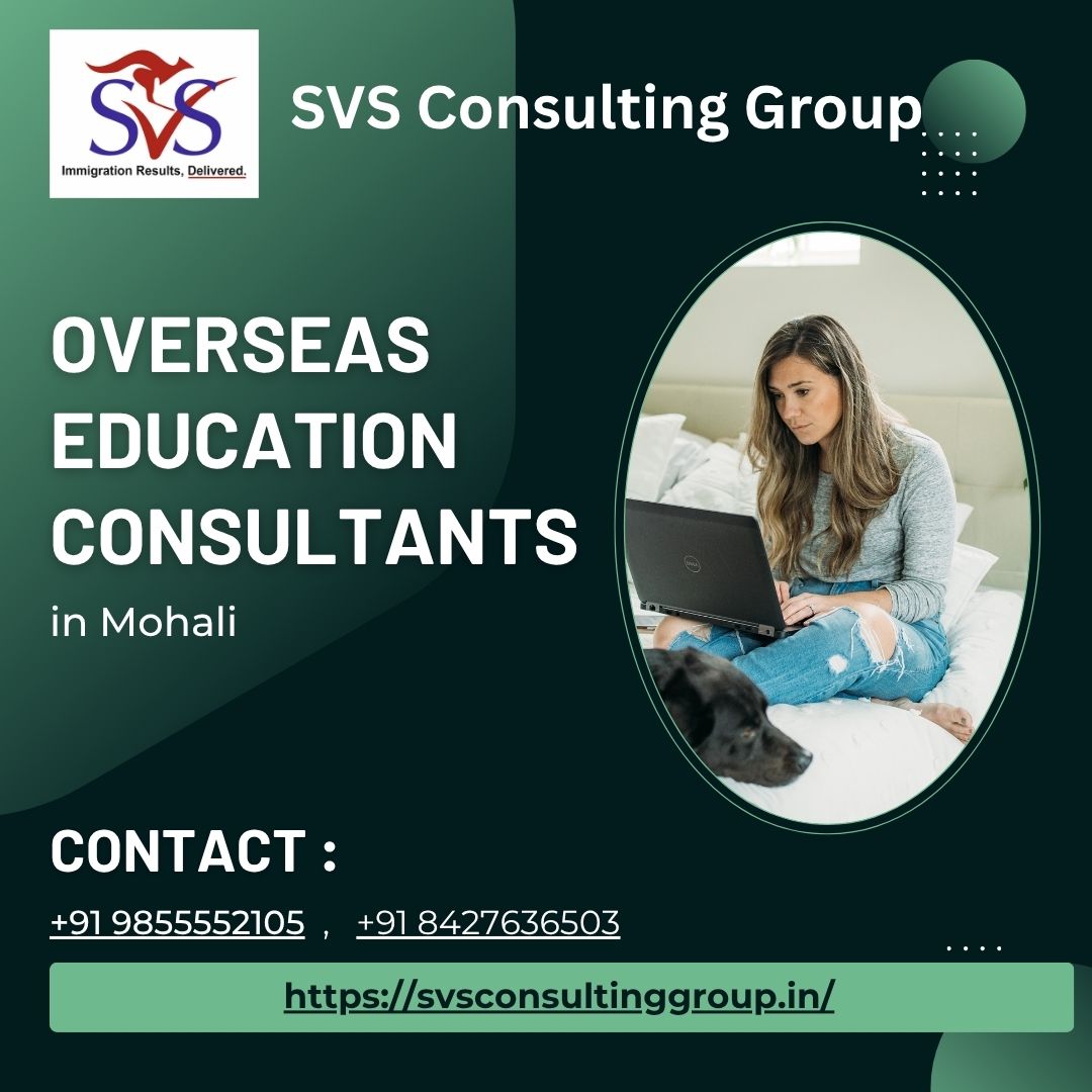SVS Consulting Group
